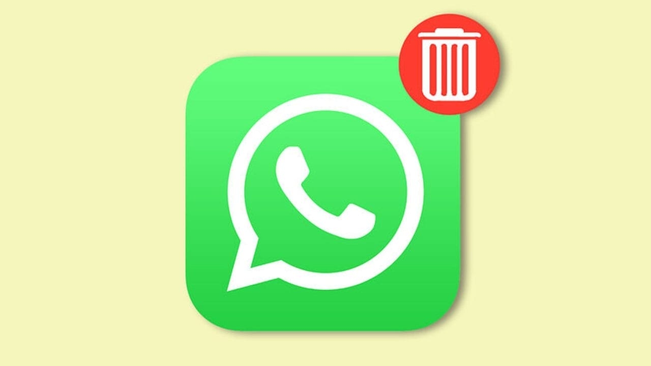 Dov'è il cestino di WhatsApp e come liberare spazio facilmente?