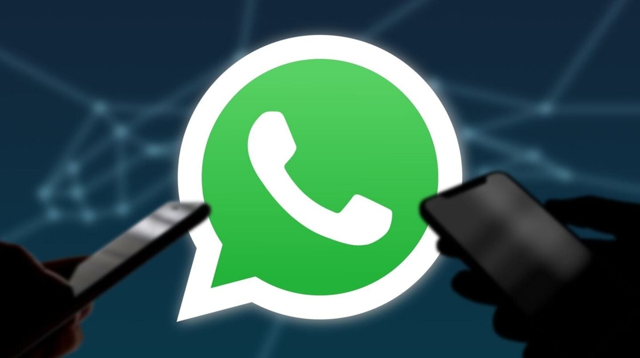 Meta elimina casi 7 millones de cuentas de WhatsApp utilizadas por estafadores