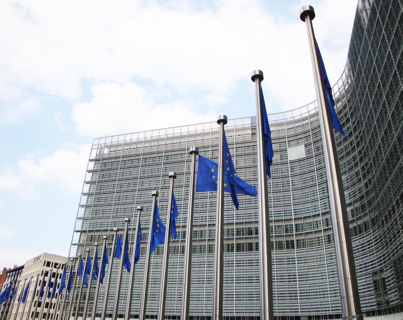 EU Commission facilitates access to environmental justice in state aid cases