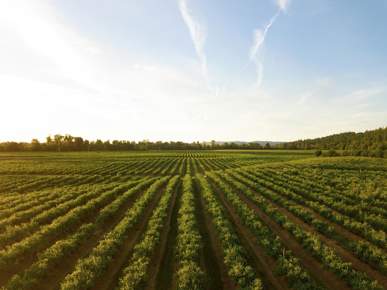 Edison, agreement with Verdalia Bioenergy for the collection of agricultural biomethane for transport