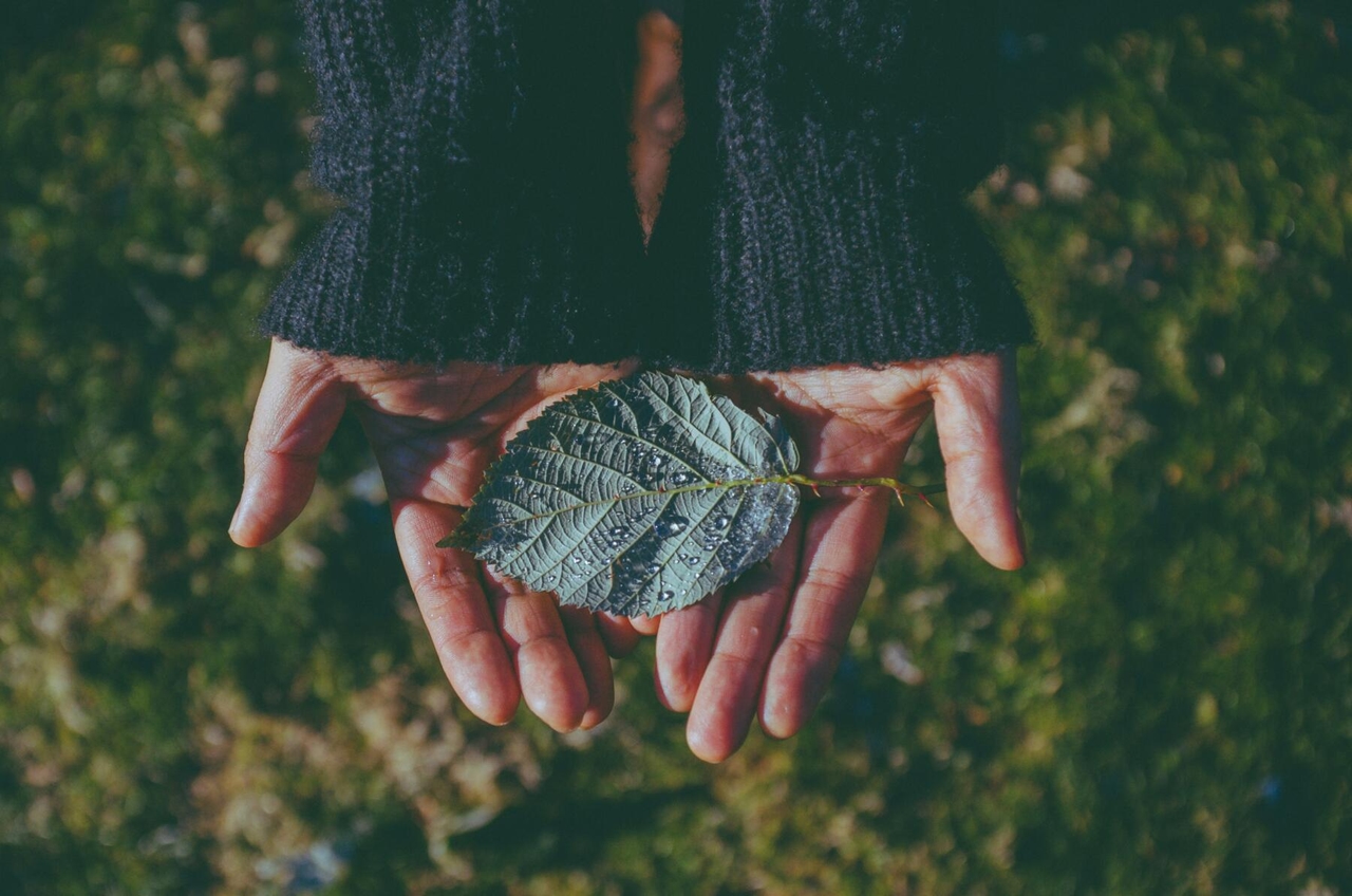 Corporate Philanthropy: What It Is and the Three Categories Identified by International Literature
