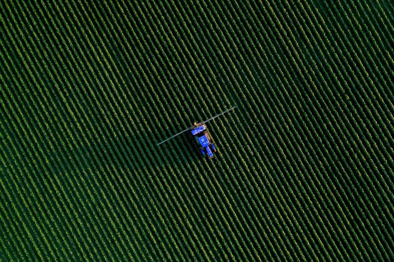 Itália fica para trás em investimentos em agronegócio e tecnologia alimentícia: apenas 100 milhões em 2024