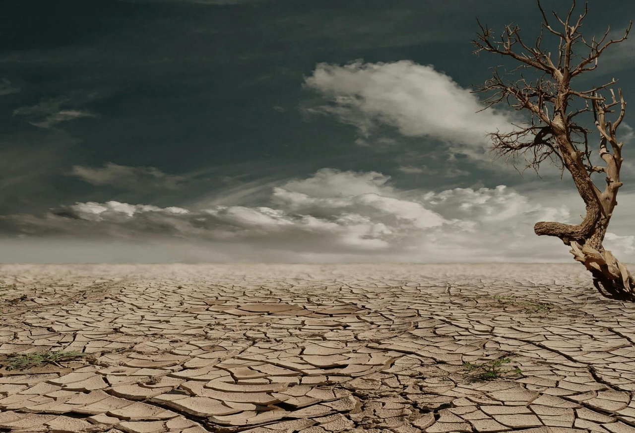 For 53% of Italian companies, climate is not a risk