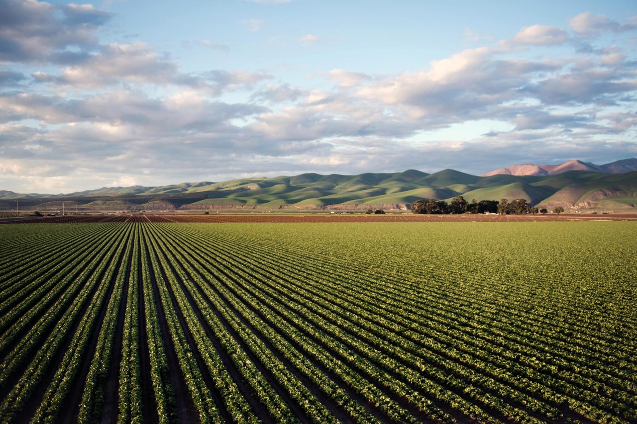 Omnibus PAC: novas simplificações para o setor agroalimentar
