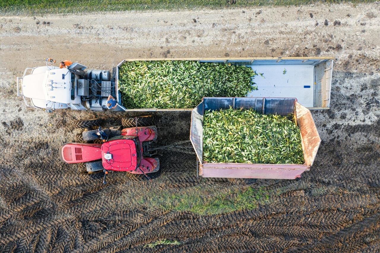 Exportações agroalimentares recorde: 28 bilhões de euros em 2024