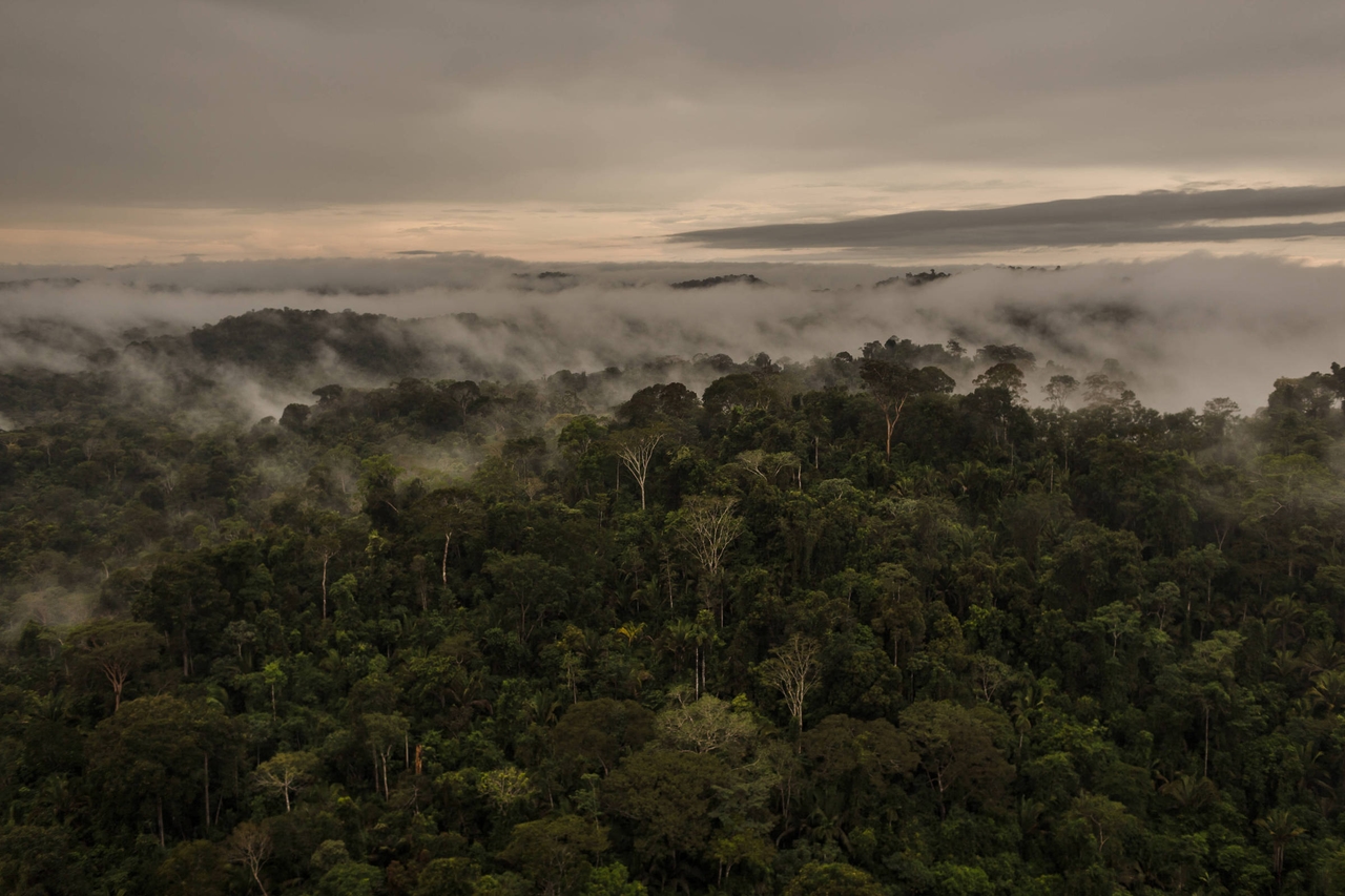 Com manobra de ruralistas, Câmara aprova redução em quase 40% de floresta nacional no Pará