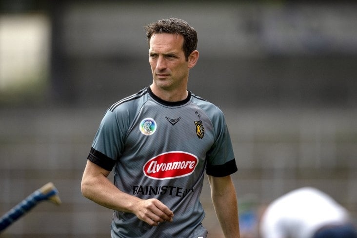 Dowling enjoying Kildare's hurling rising