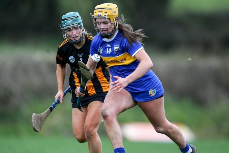 Tipp trifft auf Kilkenny, während die K.o.-Phase der All-Ireland Senior Camogie Championship feststeht