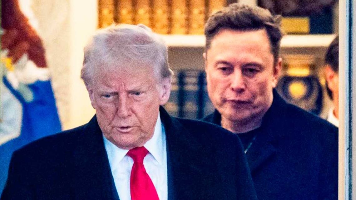 Em sua briga com Trump, Musk retuitou uma mensagem de Milei: "A disciplina fiscal não é impopular".