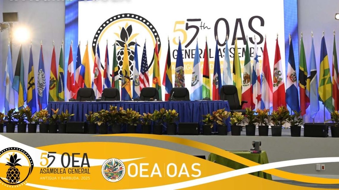 Con la presenza attiva di Werthein, l'OAS mise ancora una volta sotto esame la concorrenza tra Stati Uniti e Cina.