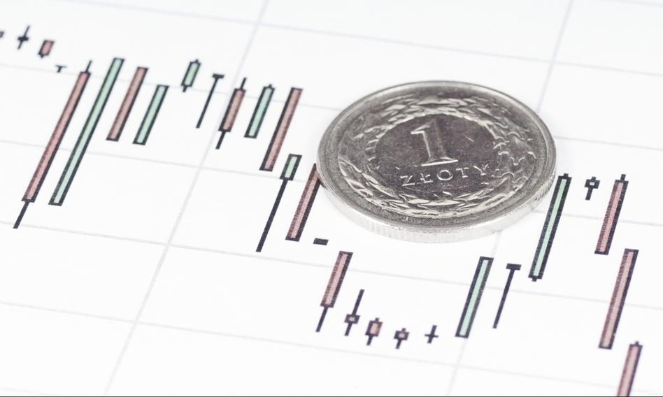 De zloty werd geschud, maar niet geroerd. De dollarkoers vertraagde tot 3,60 PLN.