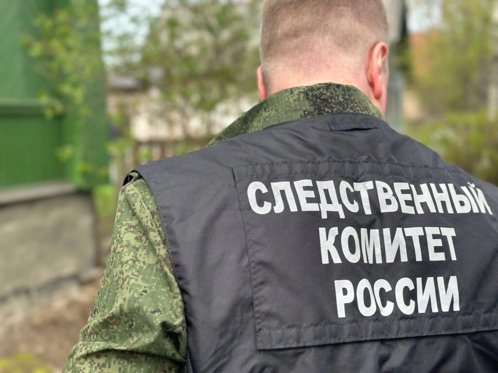 La próxima semana, el jefe del Comité de Investigación de Novgorod de la Federación Rusa celebrará una recepción ciudadana.