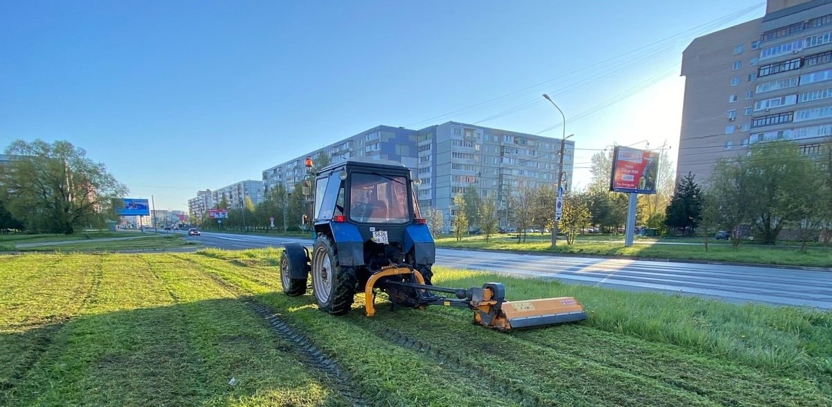 Czas skosić trawę w Wielkim Nowogrodzie