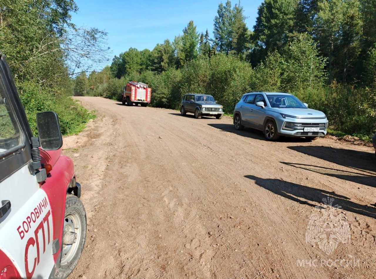 Dois aposentados de Novgorod foram resgatados da floresta depois que 34 pessoas os procuraram por 2 dias