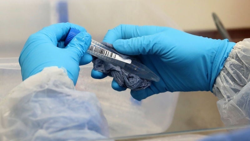 La FDA lanza su herramienta de inteligencia artificial generativa, Elsa, antes de lo previsto