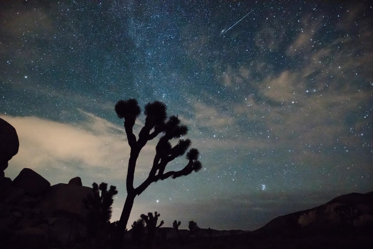 How to Watch One of the Most Dazzling Meteor Showers of the Year