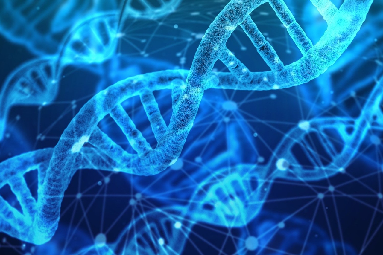 Le autorità per l'immigrazione degli Stati Uniti stanno aggiungendo il DNA dei bambini a un database criminale