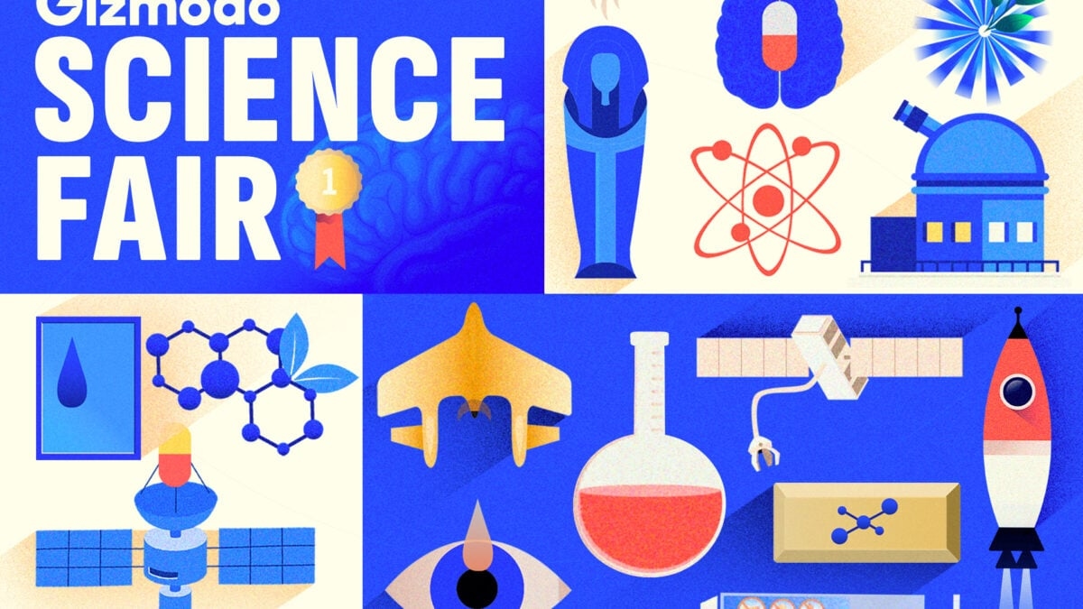 Die Gewinner der Gizmodo Science Fair 2025