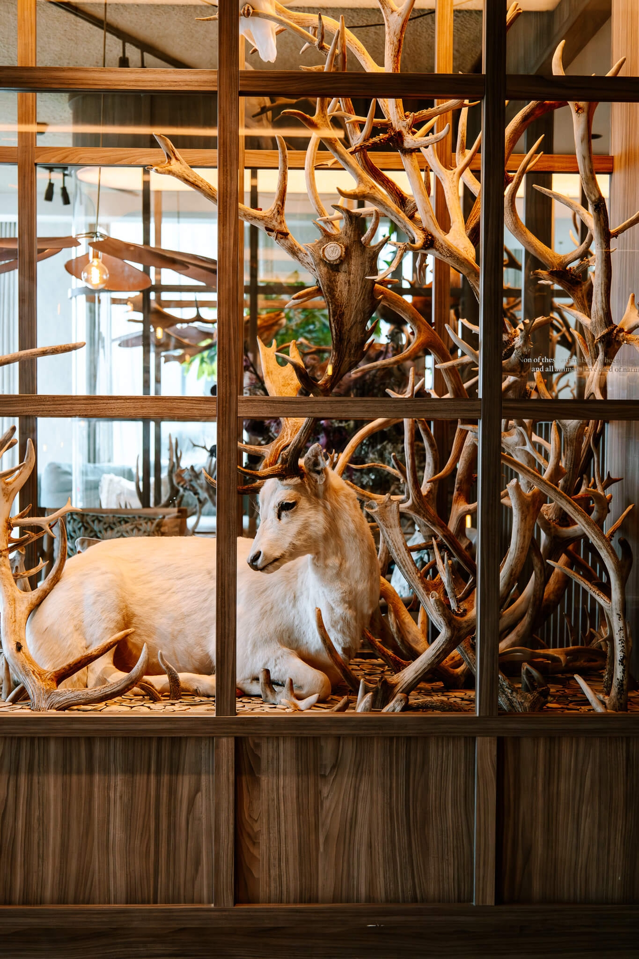 Blendin Bloemendaal: boutique hotel aan zee met infinity pool