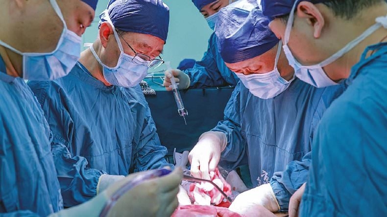 World's first pig to human liver transplant is carried out in major breakthrough