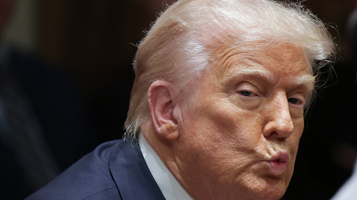 US travel warning: Full list of countries advising 'caution' when visiting  America - including the UK, France, Germany and Denmark - in backlash at Trump's 'two gender' decree