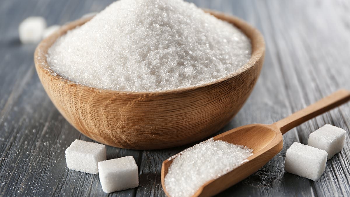 Revealed: Sugar-free and diet foods are making you HUNGRIER, more likely to be obese, experts discover