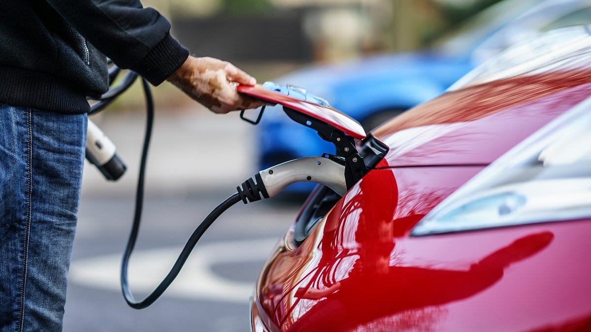 Not Zero! Parliament scraps its own EV chargers due to 'health and safety'