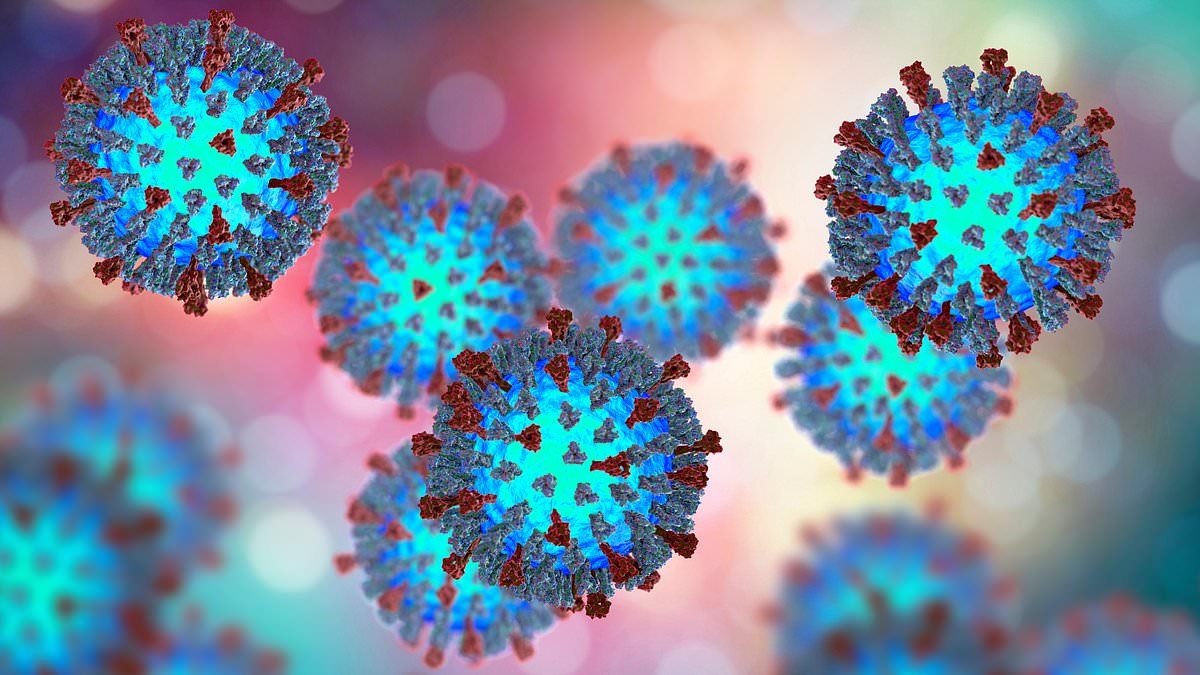 La malattia più contagiosa al mondo colpisce una grande città degli Stati Uniti da 8 milioni di abitanti, scatenando timori di una grave epidemia.
