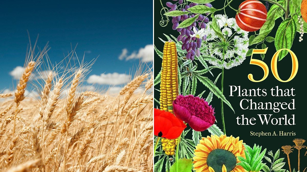 50 PLANTS THAT CHANGED THE WORLD by Stephen A. Harris; Jaw-dropping effect of wheat on our faces!