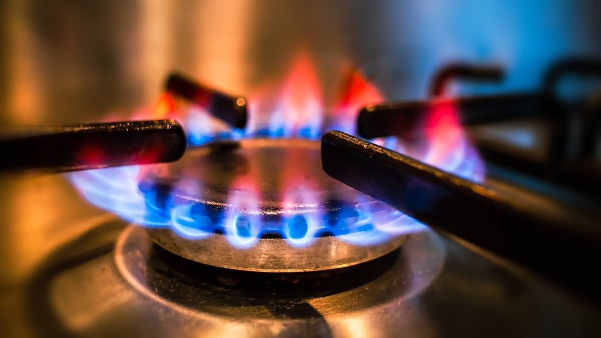 Flawed system leaves millions paying too much for energy bills, says GABRIEL MCKEOWN