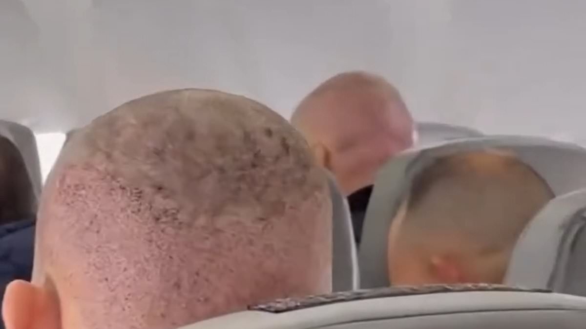 Woman shares hilarious video of a 'Turkish hairlines' flight full of post-op men
