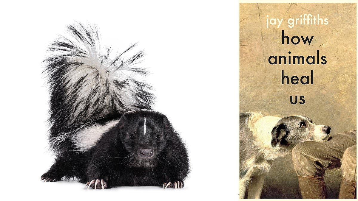 How Animals Heal Us by Jay Griffiths: Forget dogs, get a THERAPY SKUNK