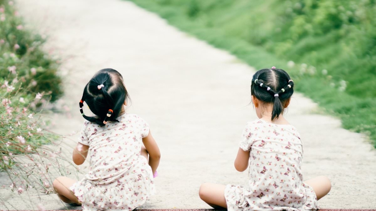 Daughters Of The Bamboo Grove by Barbara Demick: Twins wrenched apart by the Chinese government... with one sold to America