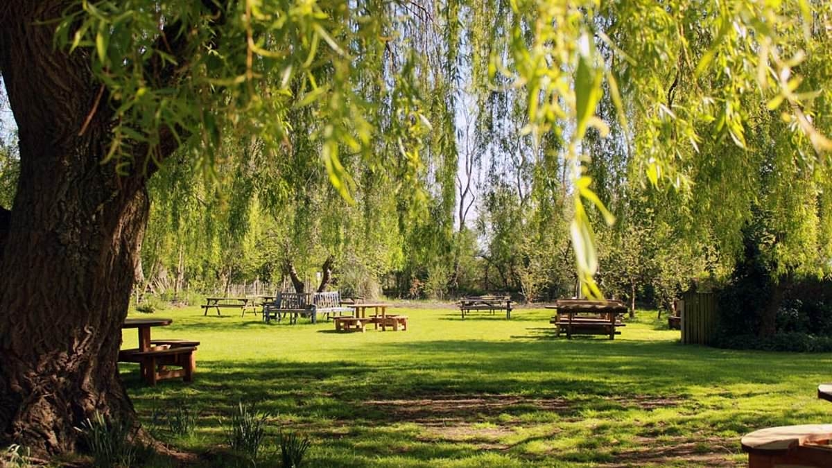 I've been to hundreds of pubs and asked locals for the unknown hidden gems in their areas. This is the definitive list of the 27 best beer gardens in Britain