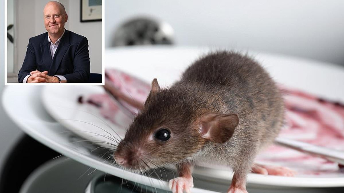 La casa che ho acquistato è infestata dai topi: posso prendere provvedimenti contro il venditore?