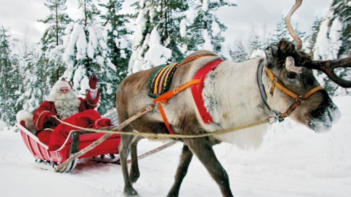 Tui startet Flüge ins „alternative Lappland“ – mit Husky-Schlittenfahrten und Treffen mit dem Weihnachtsmann ohne Menschenmassen