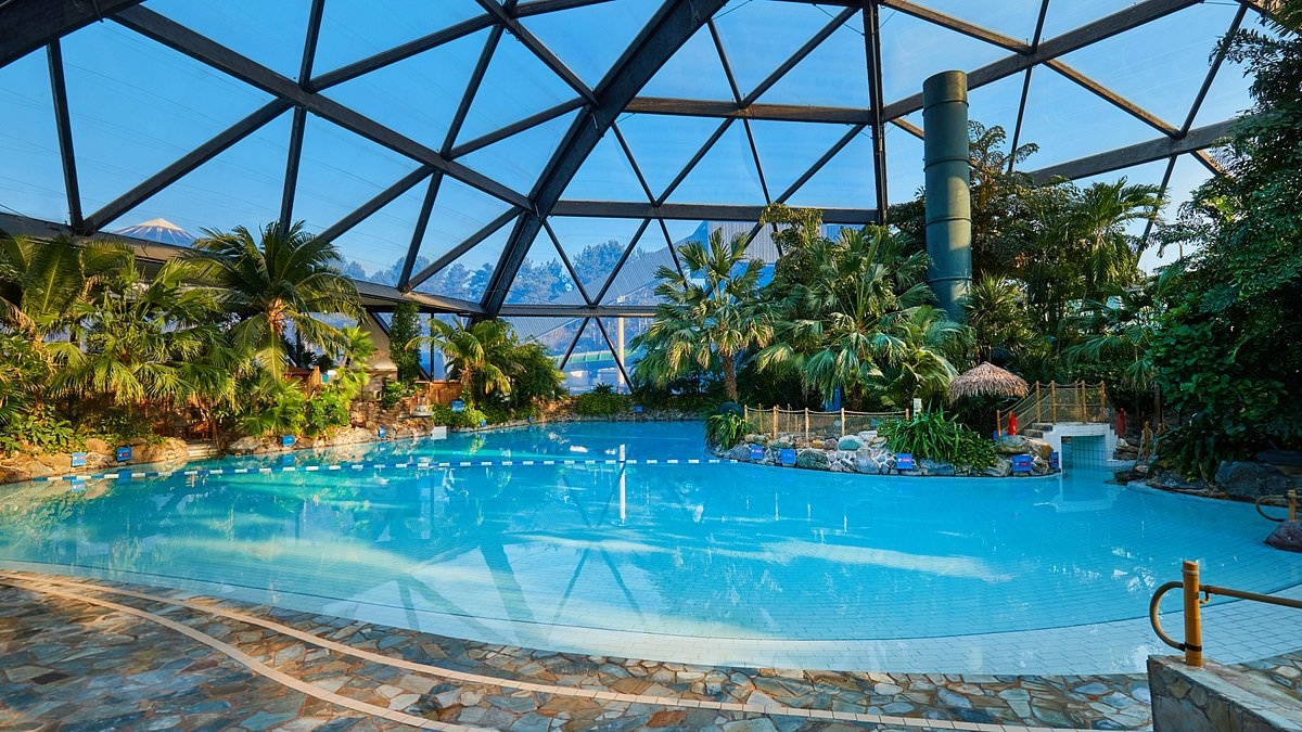 Wtajemniczeni, jak zaoszczędzić fortunę w Center Parcs. Najtańsze parki, dokładne godziny wejścia do każdego z nich i triki, które mogą obniżyć koszty o połowę.