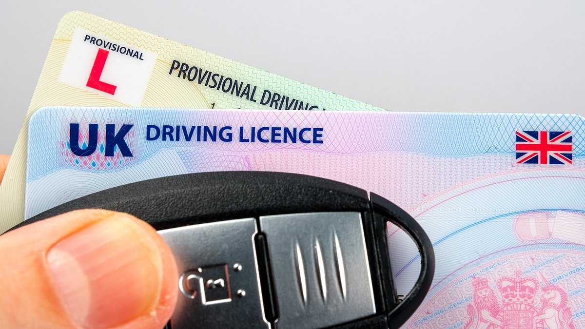 Avez-vous plus de points sur votre permis de conduire que vos voisins ? Découvrez-le grâce à notre outil de recherche de codes postaux de pénalité.