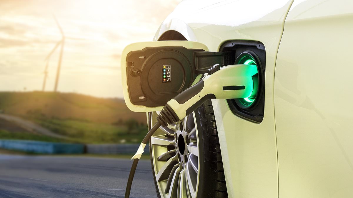 ¿Qué tan sostenibles son los vehículos eléctricos y por qué el Gobierno sólo ofrece subvenciones a los coches eléctricos “verdaderamente ecológicos”?