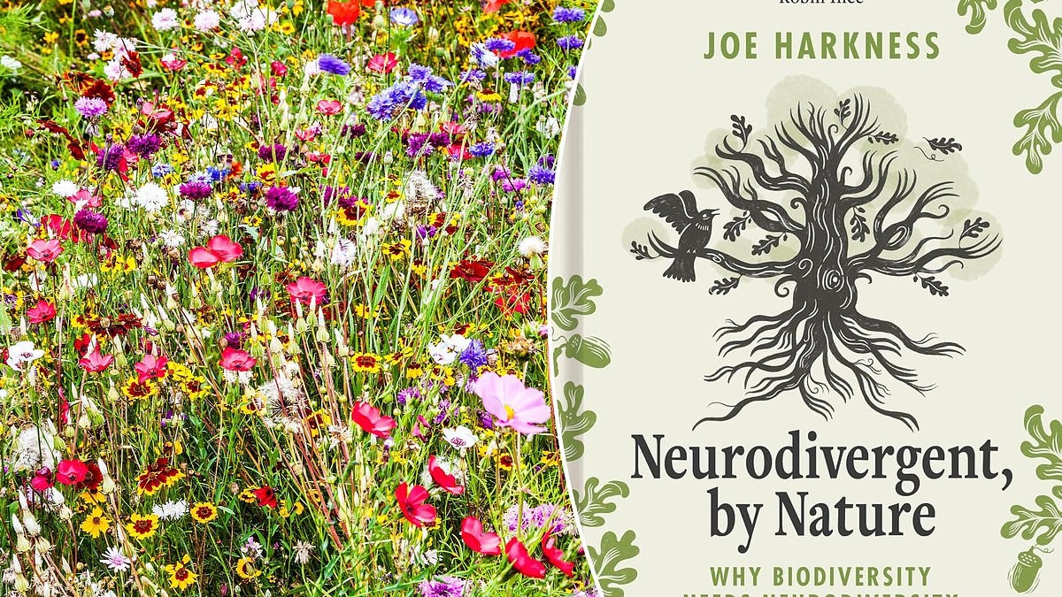 Neurodivergent, By Nature von Joe Harkness: Warum Menschen mit Autismus im Einklang mit der Natur sind