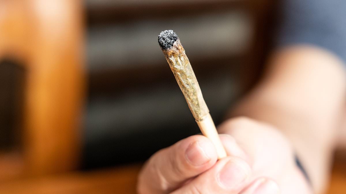 Anstieg der durch Cannabis verursachten psychotischen Episoden in ganz Großbritannien, da die Wirksamkeit der Sorten zugenommen hat