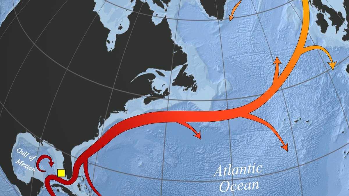 Global emergency as key Atlantic current is on the brink of collapse