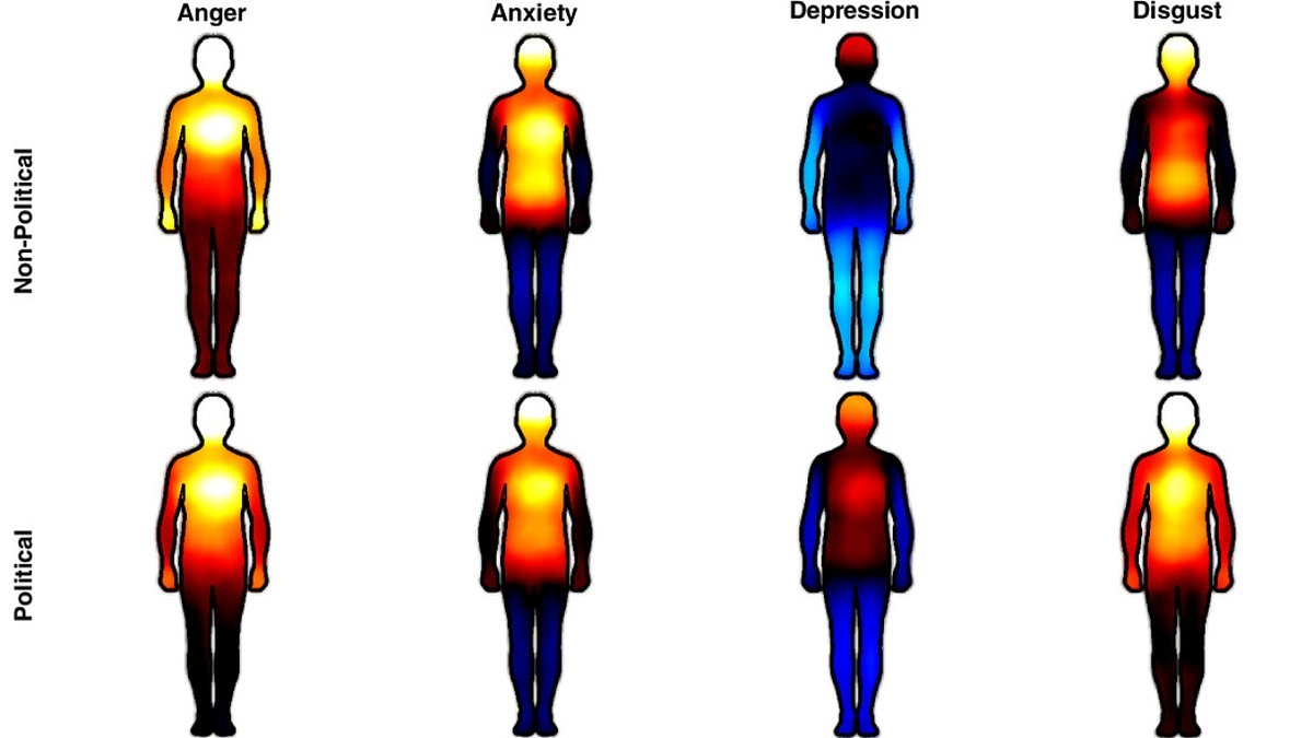 Your feelings towards UK politics, mapped: Charts reveal exactly where anxiety and anger about the current state of affairs are felt in the body