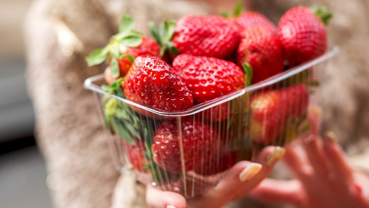 Cancer-linked toxins found in America's favorite strawberry brand, consumer group claims