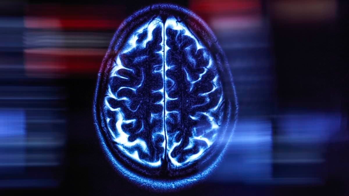 'Missed, delayed, abandoned': Landmark reports expose a dementia care system failing patients at every stage