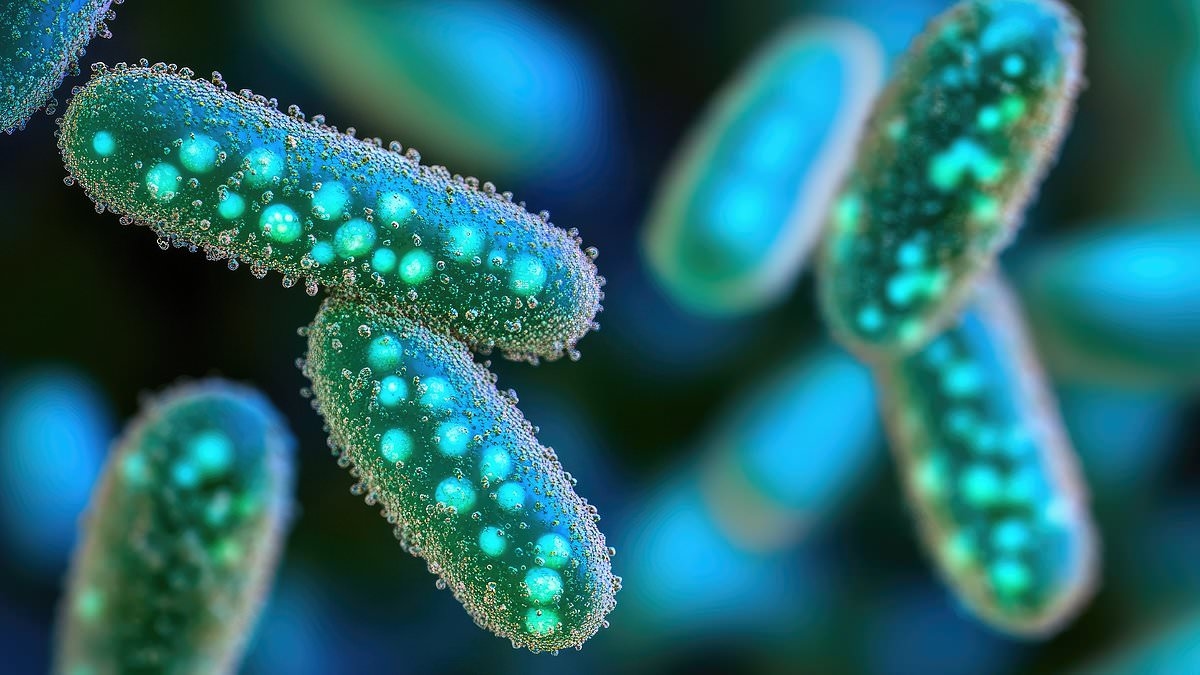 Turbocharging immune system could mean end of antibiotics