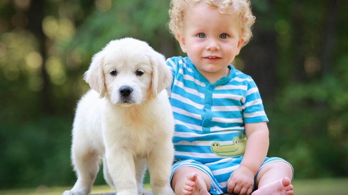 Should you have a baby or get a dog? Why are you dreaming about garlic? What is LOVE? Google has the answer
