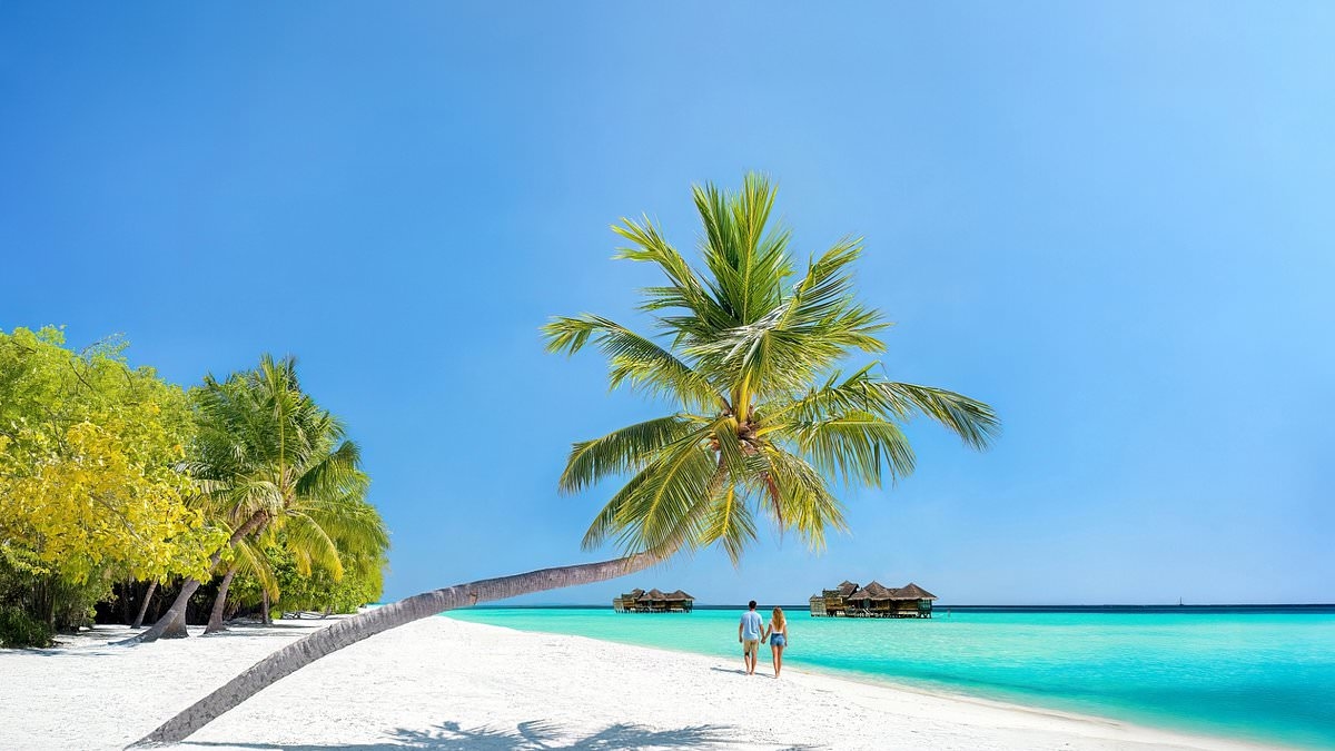 A £1million lump sum or £1,000 a week for life? The question has divided Britons... and this is what two finance experts say is the right answer