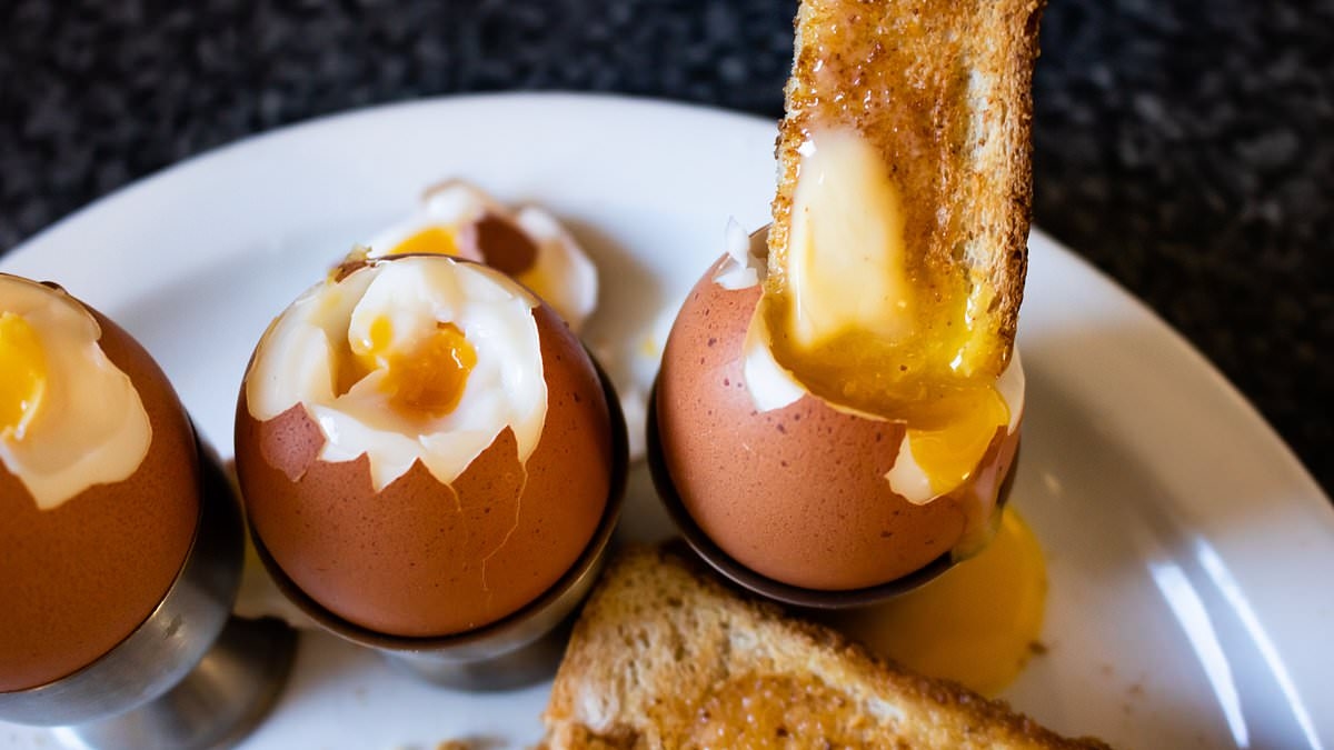 Is it really worth splashing out £4 on posh eggs? Experts reveal if pricey brands like Clarence Court are actually healthier... or if own-brand will do