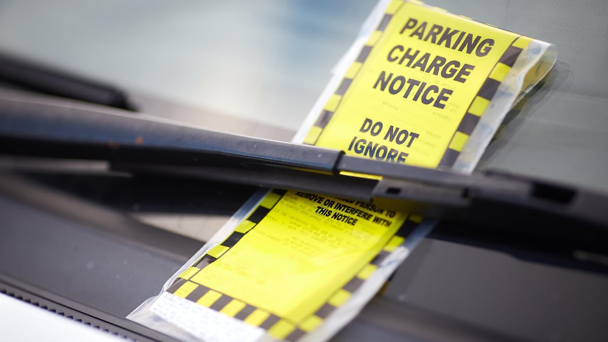 Record 17million private parking tickets will be issued this year, RAC says